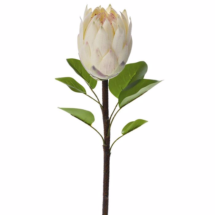 Iliadis Texnito Diakosmitiko Futo me Anthos Proteas Krem 67ek 77948