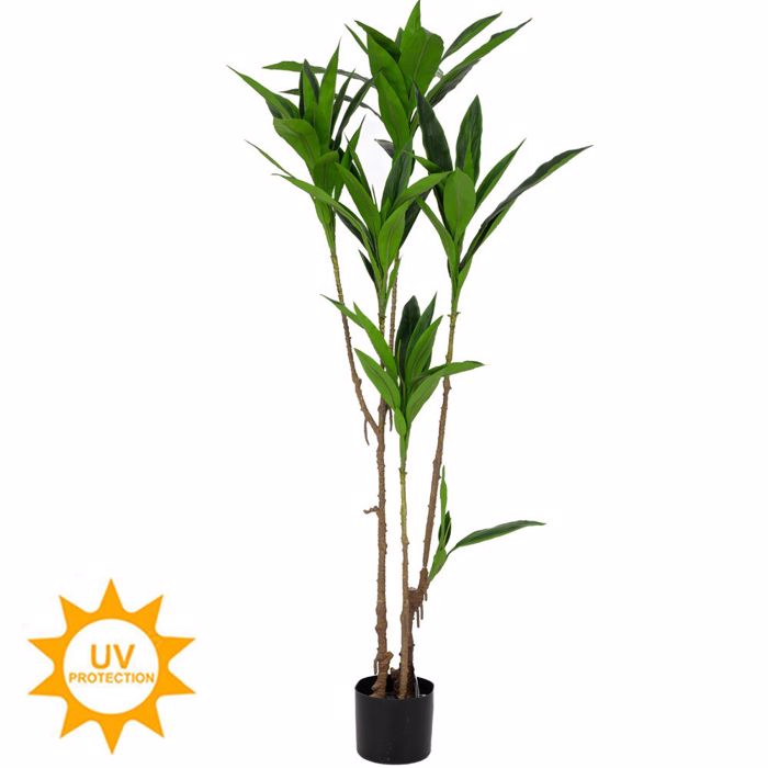 Iliadis Kordelina Futo me UV kai Fire Protection (Bradukafsto) 60x60x160cm 92193