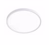 Inlight Plafoniera orofis LED 18W 3CCT (by switch on base) se lefki apoxrosi F23x2.5cm (42036-E-White)