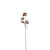 Liberta - Maison TITUM Texnito Anthos EVA FOAM Kafe 102cm 015008