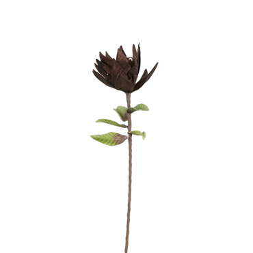 Liberta - Maison BROWN 2 Τεχνητό Λουλούδι EVA FOAM Καφέ 76cm 017275