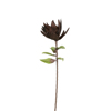 Liberta - Maison BROWN 2 Texnito Louloudi EVA FOAM Kafe 76cm 017275