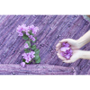 Liberta - Maison PLUM Xali Dermatino Mob 70x150cm 020510