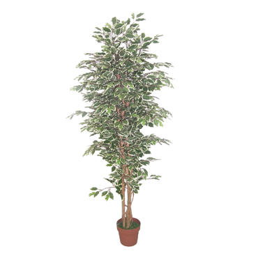 Liberta - Maison FICUS Τεχνητό Φυτό Polyester PE/PP Πράσινο 170cm 022408