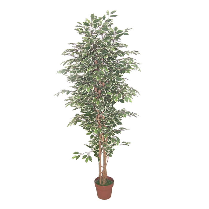 Liberta - Maison FICUS Texnito Futo Polyester PE/PP Prasino 170cm 022408