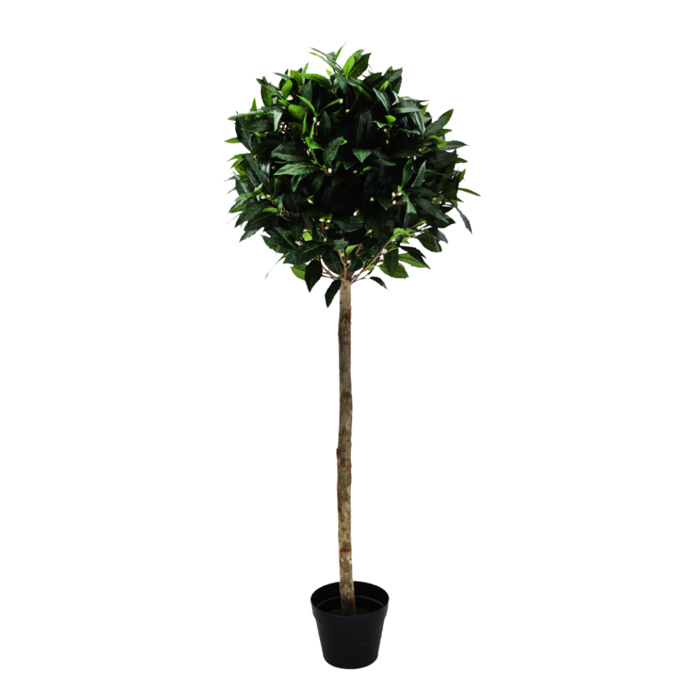 Liberta - Maison BAY Texnito Futo Polyester PE/PP Prasino 125cm 022410