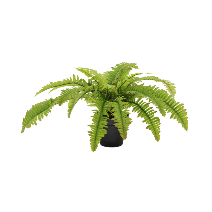 Liberta-Maison Boston Fern Futo Texnito Se Gastra 36cm Polyester Prasino PE/PP 022411