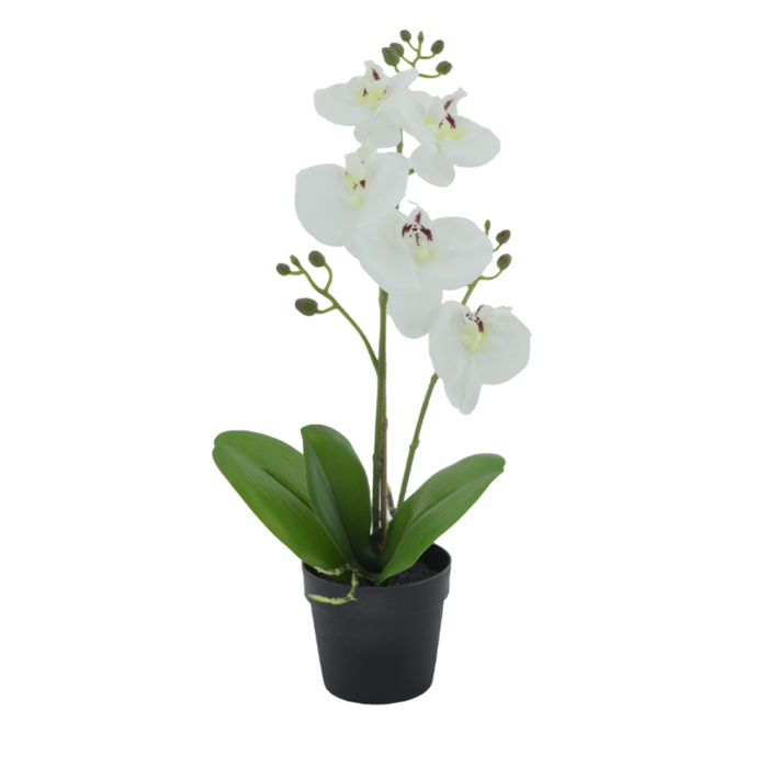 Liberta - Maison ORCHID 3 Texnito Futo PE/PP PEVA Lefko/Prasino 35cm 022417