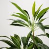 Liberta - Maison VELVET TREE Dentro Texnito PVC Prasino se Mavri Tsimentenia Gastra 140cm 030849