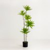 Liberta-Maison Fatsia Dentro Texnito Se Gastra 110cm ufasma Prasino PVC 031320