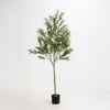 Liberta - Maison OLIVE TREE Dentro se Gastra ufasma Prasino PVC 180cm 031321