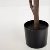 Liberta - Maison FICUS PANDURATA Dentro se Gastra ufasma Prasino PVC 180cm 031329