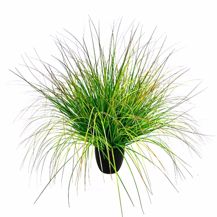 Liberta-Maison Bent Grass Futo Texnito se Gastra 90cm PVC Prasino 031344