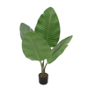 Liberta - Maison BANANA Dentro Texnito se Gastra PEVA Prasino 50cm 032212