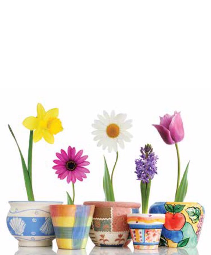 Roler me Psifiaki Ektuposi Poluxroma Louloudia ''Spring Mood'' E312
