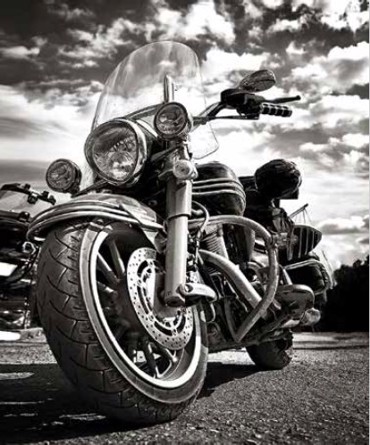 Ρόλερ με Ψηφιακή Εκτύπωση 'Motorcycle' E364
