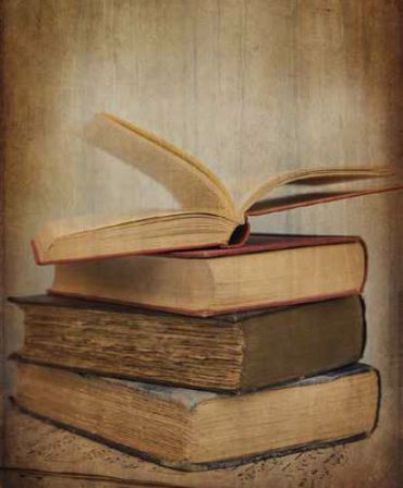 Ρόλερ με Ψηφιακή Εκτύπωση 'Vintage Books' E436