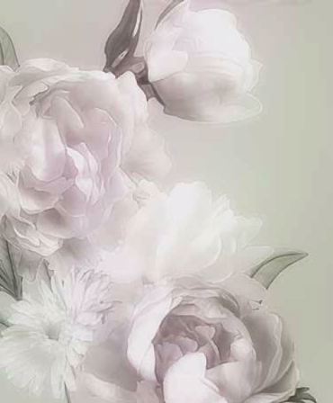 Ρόλερ με Ψηφιακή Εκτύπωση 'White Roses' E449