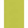 Elite Blinds Roler Merikis Skiasis Anoixto Prasino 'Carina' 7005-65