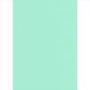 Elite Blinds Roler Merikis Skiasis Menta 'Carina' 7005-67