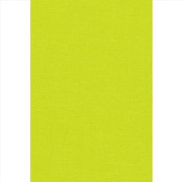 Ramino Ρόλερ Σκίασης Premium Lime Green 70012-007