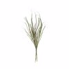 Liberta - Maison MALULU Texnito Kladi EVA Foam Prasino/Kafe 95cm 018466