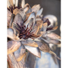 Liberta - Maison LITMUS Texnito Anthos EVA FOAM Ble/Roz 90cm 018471