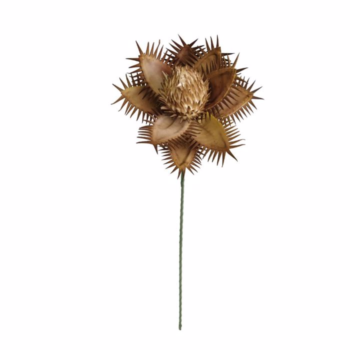 Liberta - Maison VANG 3 Texnito Anthos Eva Foam Kitrino/Kafe (1 Temaxio) 98cm 022100