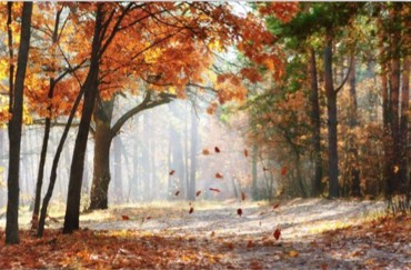 ΡΟΛΕΡ ΜΕ ΨΗΦΙΑΚΗ ΕΚΤΥΠΩΣΗ 'AUTUMN LEAVES' E226