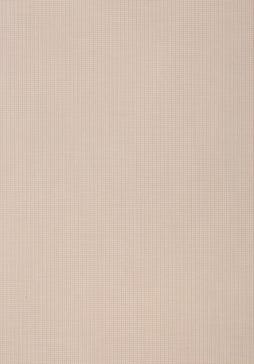 Screen 3031 εκρού