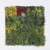 Supergreens Texniti Fullosia Fteri Mix ''Lith'' 100x100cm 4291-7