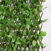 Supergreens Texniti Ptussomeni Fullosia Fikos Benjamin 100x200cm 7351-7