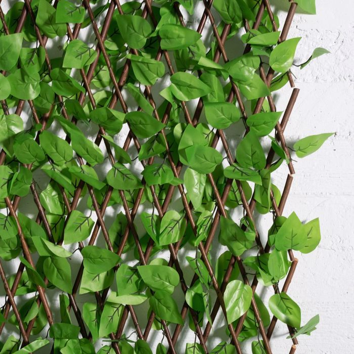Supergreens Texniti Ptussomeni Fullosia Fikos Benjamin 100x200cm 7351-7