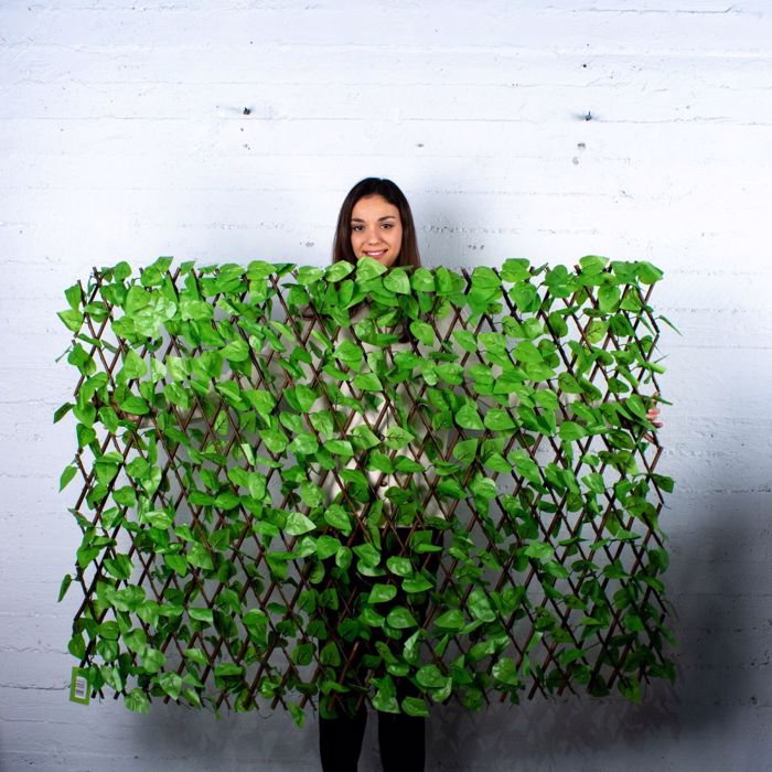Supergreens Texniti Ptussomeni Fullosia Fikos Benjamin 100x200cm 7351-7