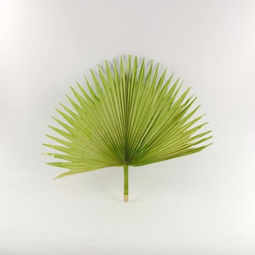 Supergreens Τεχνητό Φύλλο Φοίνικας ''Serenoa'' Πράσινο 35x35x60 εκ. 1081-7