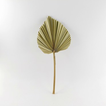 Supergreens Τεχνητό Φύλλο Φοίνικας ''Serenoa'' Φυσικό 25x25x60 εκ. 2081-7