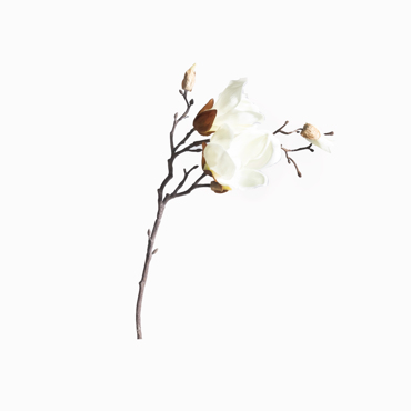 Supergreens Τεχνητό Κλωνάρι Μανόλια ''Pistil'' Άσπρο 50cm 2280-7