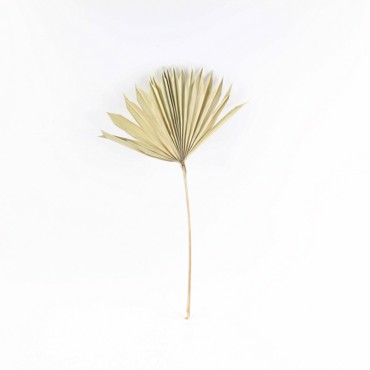 Supergreens Τεχνητό Φύλλο Φοίνικας ''Serenoa'' Φυσικό 30x30x50 εκ. 3081-7