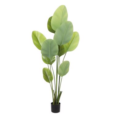 Supergreens Τεχνητό Δέντρο Πουλί του Παραδείσου ''Strelitzia Augusta'' Πράσινο 180 εκ. 3901-6