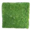 Supergreens Texniti Fullosia Moss Prasini 100x100cm 3971-7