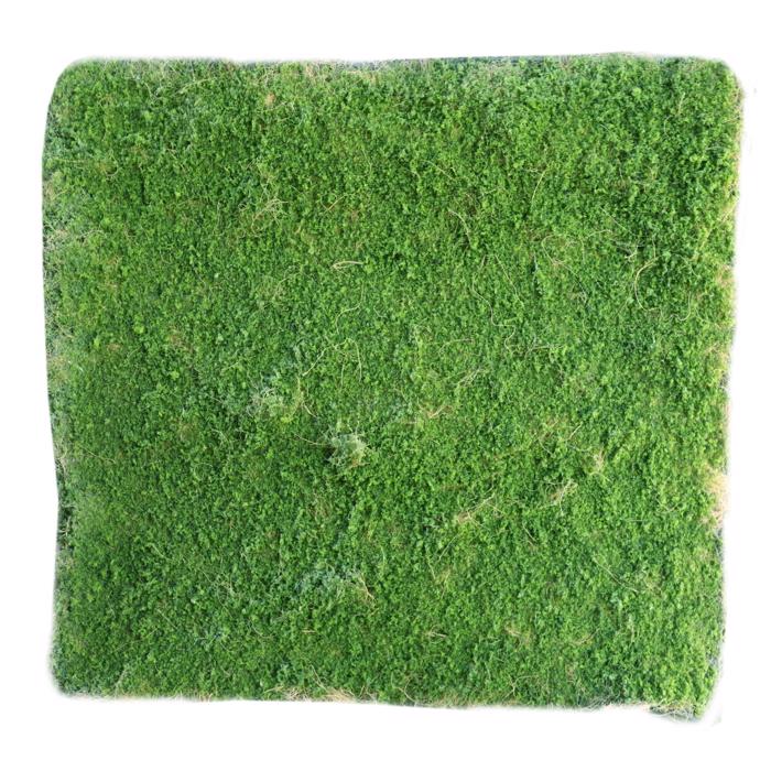 Supergreens Texniti Fullosia Moss Prasini 100x100cm 3971-7