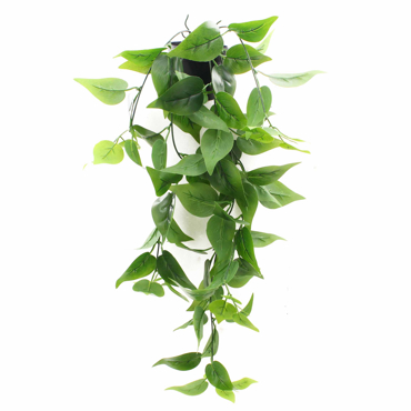 Supergreens Τεχνητό Φυτό Φίκος ''Coide'' Πράσινο 62cm 5591-7