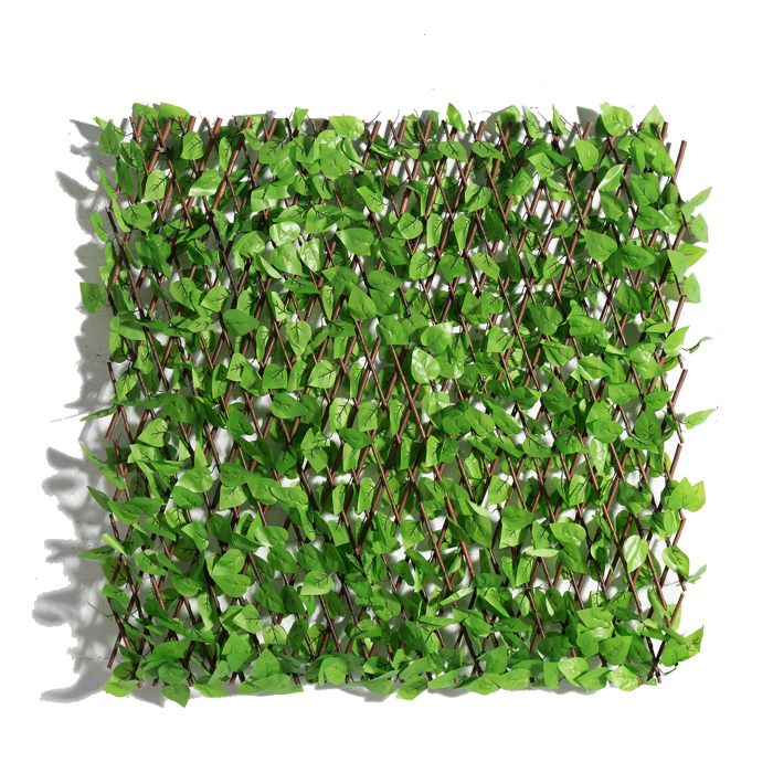 Supergreens Texniti Ptussomeni Fullosia Fikos Benjamin 100x200cm 7351-7