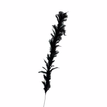 Supergreens Τεχνητό Κλαδί Φτερό Μαύρο 120cm 8780-7