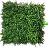 Supergreens Texniti Fullosia Fteri me Fiko Prasini 50x50cm 5071-7