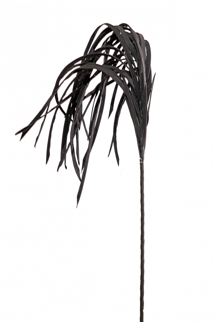 Zen Collection Louloudi Kremasto Mavro 120cm 47309