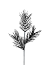Zen Collection Xristougnniatika Fulla Mavra 88cm 51959